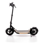 8TEV 2020 Edition: B12 Classic Electric Scooter Commuter/City scooter 8TEV 