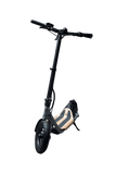 8TEV 2020 Edition: B12 Classic Electric Scooter Commuter/City scooter 8TEV 