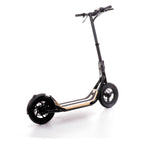 8TEV B12 Classic Electric Scooter Commuter/City scooter 8TEV 