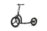 ARGENTO ACTIVE BIKE Commuter/City scooter DUCATI 
