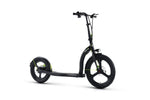 ARGENTO ACTIVE BIKE Commuter/City scooter DUCATI 