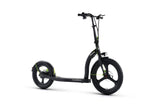 ARGENTO ACTIVE BIKE Commuter/City scooter DUCATI 