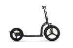 ARGENTO ACTIVE BIKE Commuter/City scooter DUCATI 