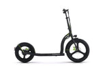 ARGENTO ACTIVE BIKE Commuter/City scooter DUCATI 