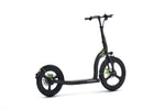 ARGENTO ACTIVE BIKE Commuter/City scooter DUCATI 