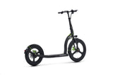 ARGENTO ACTIVE BIKE Commuter/City scooter DUCATI 