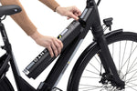 ARGENTO OMEGA E-BIKE City/Road E-bike Argento 