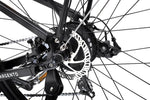ARGENTO OMEGA E-BIKE City/Road E-bike Argento 