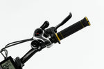 DUCATI SCRAMBLER SCR-E (Ex Demo) e-bike Ducati 